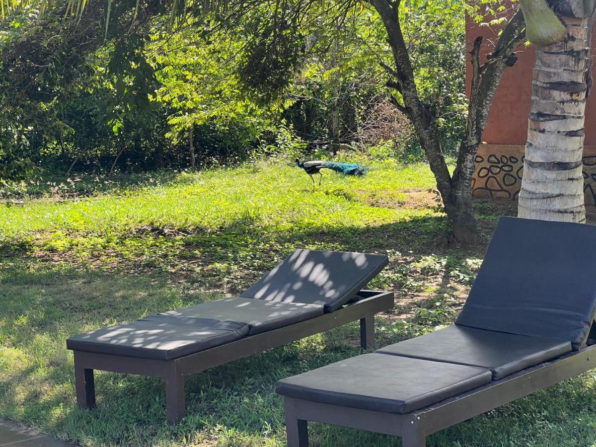 טיסמהרמה Yala Peace Cottages מראה חיצוני תמונה