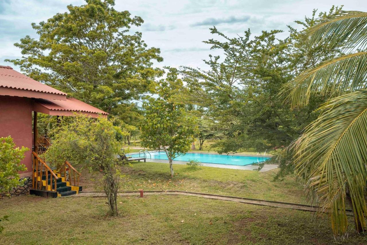 טיסמהרמה Yala Peace Cottages מראה חיצוני תמונה