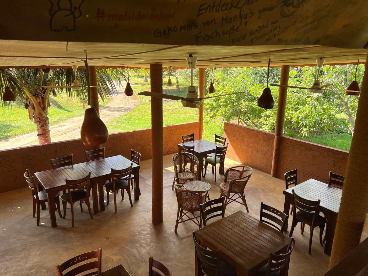 טיסמהרמה Yala Peace Cottages מראה חיצוני תמונה