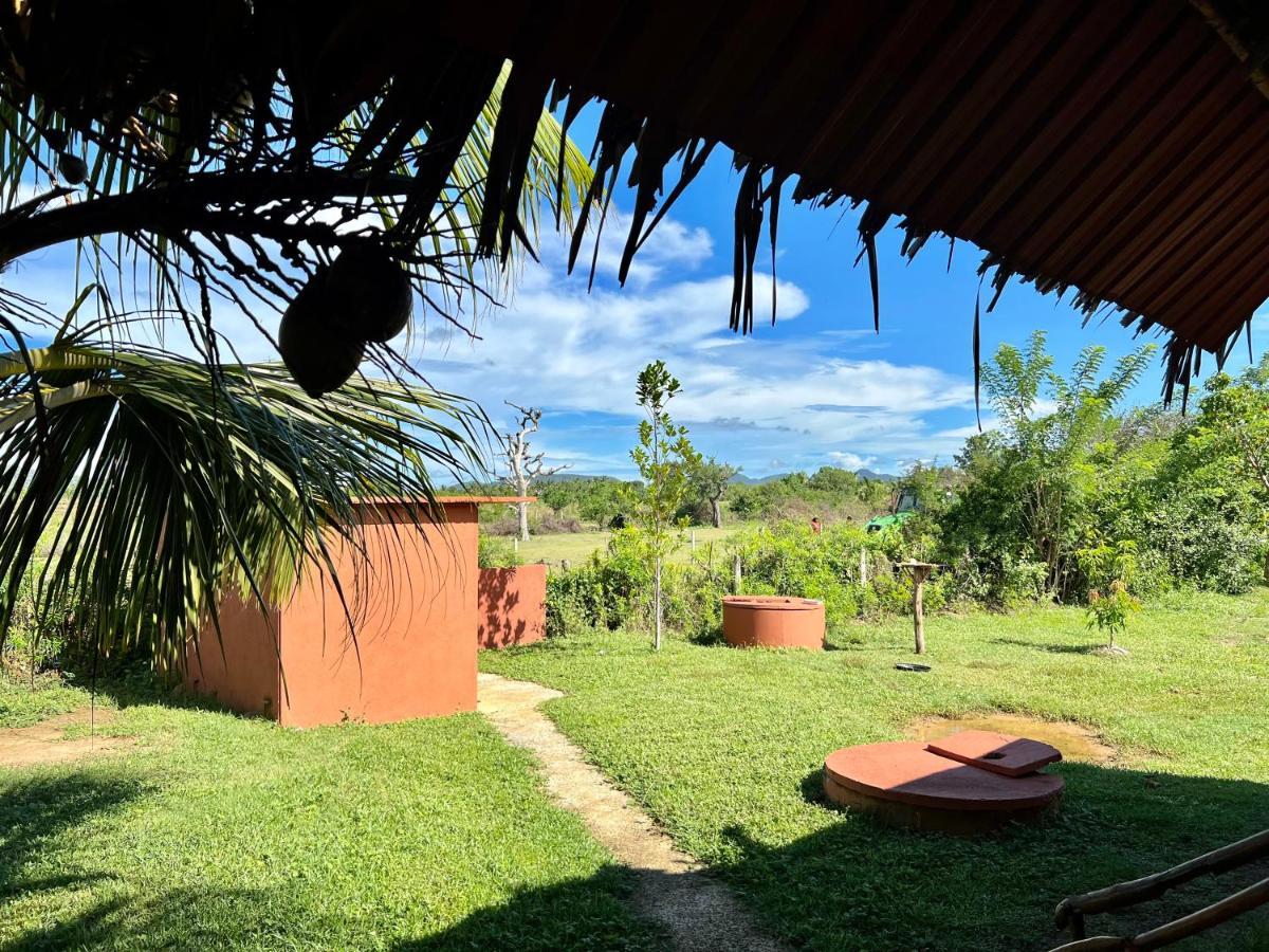 טיסמהרמה Yala Peace Cottages מראה חיצוני תמונה