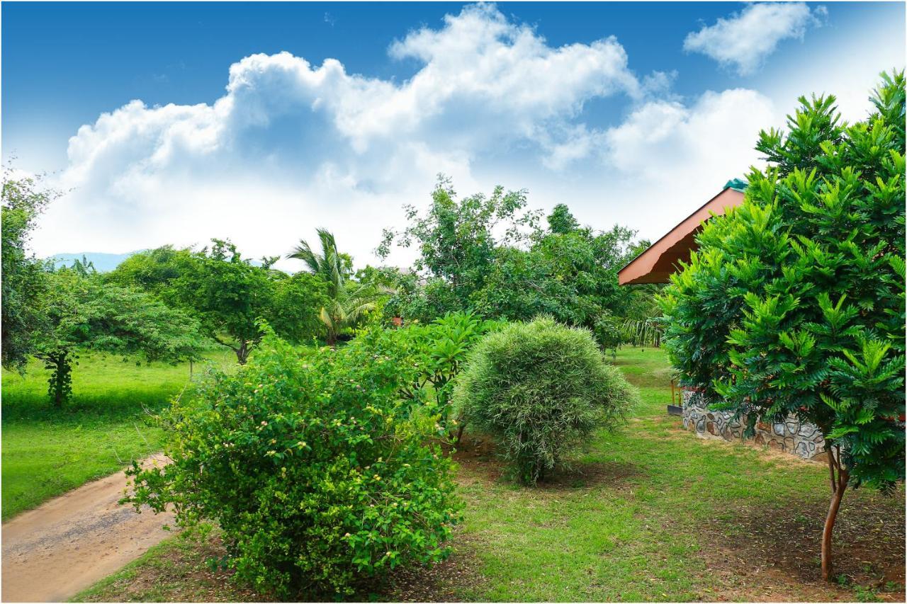 טיסמהרמה Yala Peace Cottages מראה חיצוני תמונה