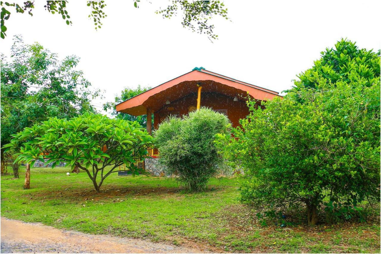 טיסמהרמה Yala Peace Cottages מראה חיצוני תמונה